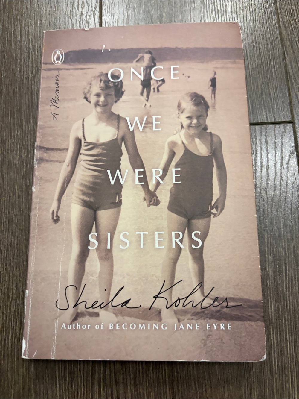 Once We Were Sisters Vintage-Style Kids One-Piece Swimsuit - Brown/Tan